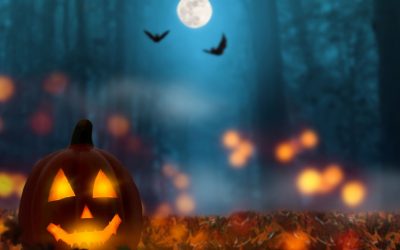 Knowledge Plus | What Is Halloween?