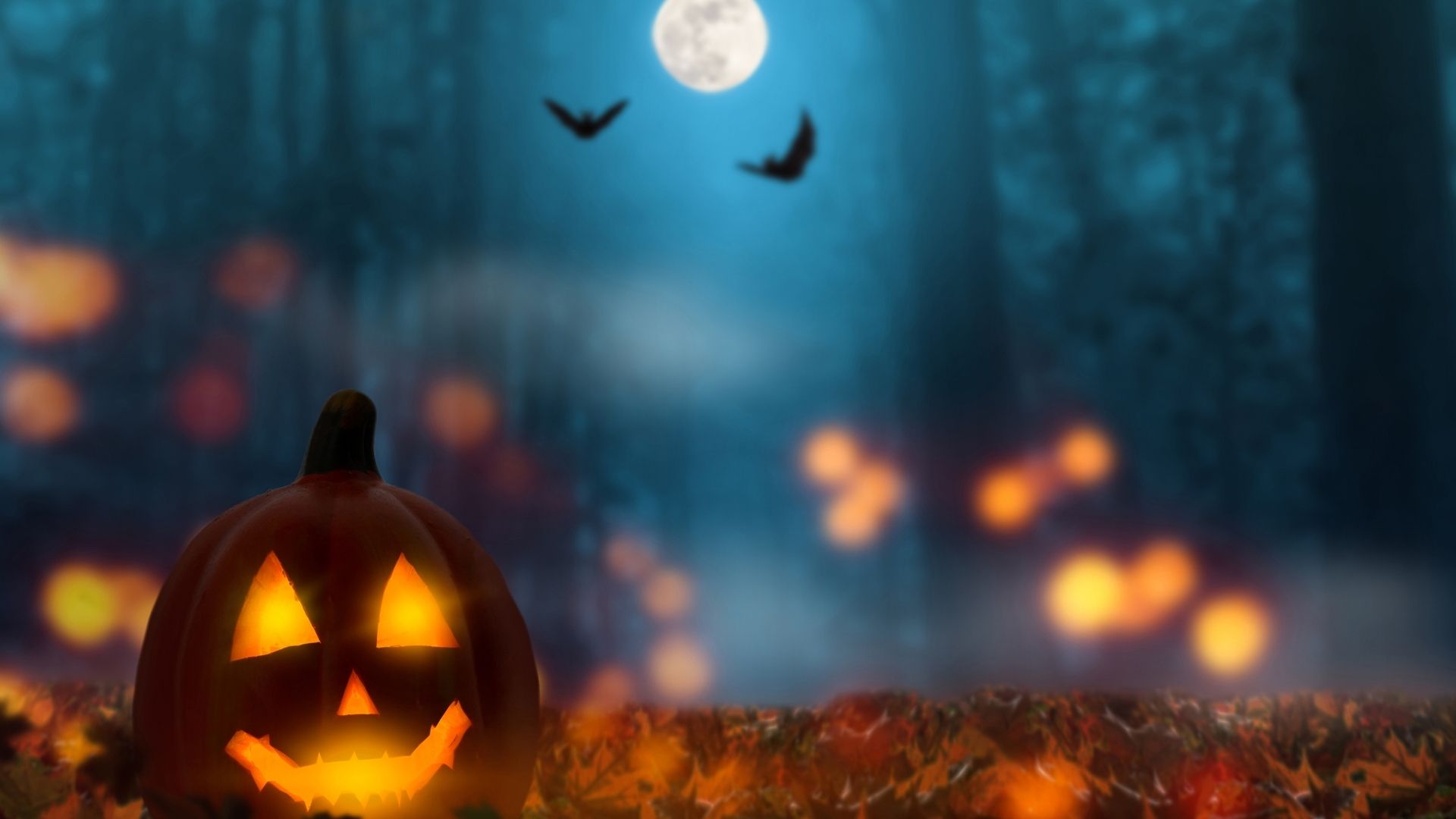 Knowledge Plus Episode 05 What Is Halloween