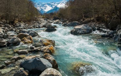 Knowledge Plus | What Do You Know About Rivers?