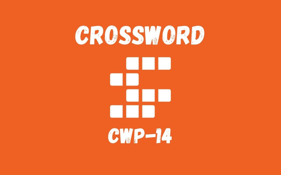 Vocabulary Building Crossword Puzzle 14