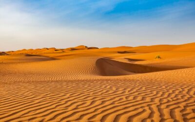 Deserts | Short Reads