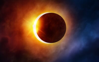 Eclipse | Short Reads