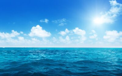 Oceans | Short Reads