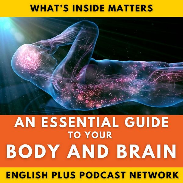 A Guide to Your Body and Brain Series