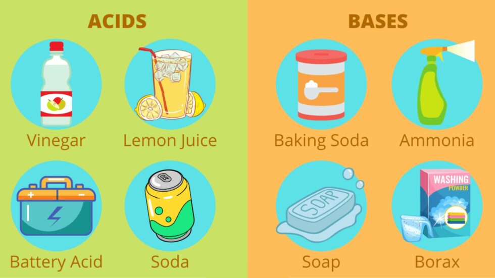 Acids and Bases Word Power English Plus Podcast