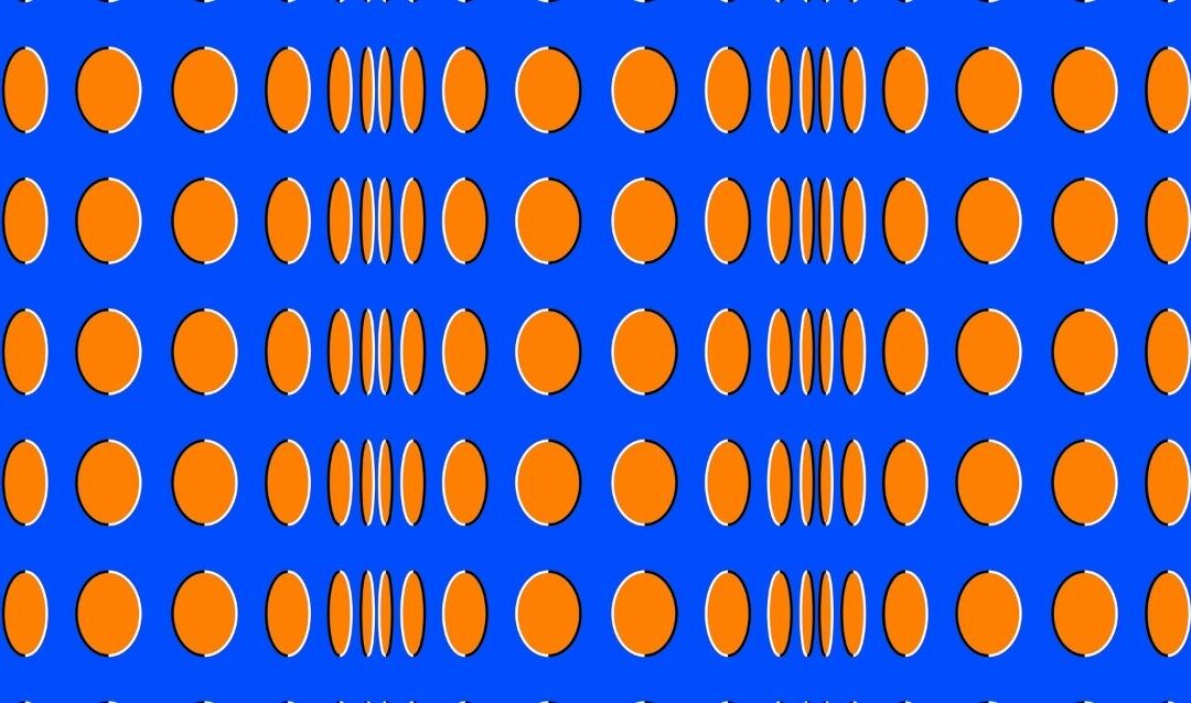 The Illusion of Perception: Exploring the Relationship Between Reality and Our Senses