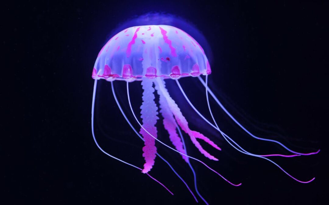 The World’s Deadliest Animals | Crossword Puzzle in Context