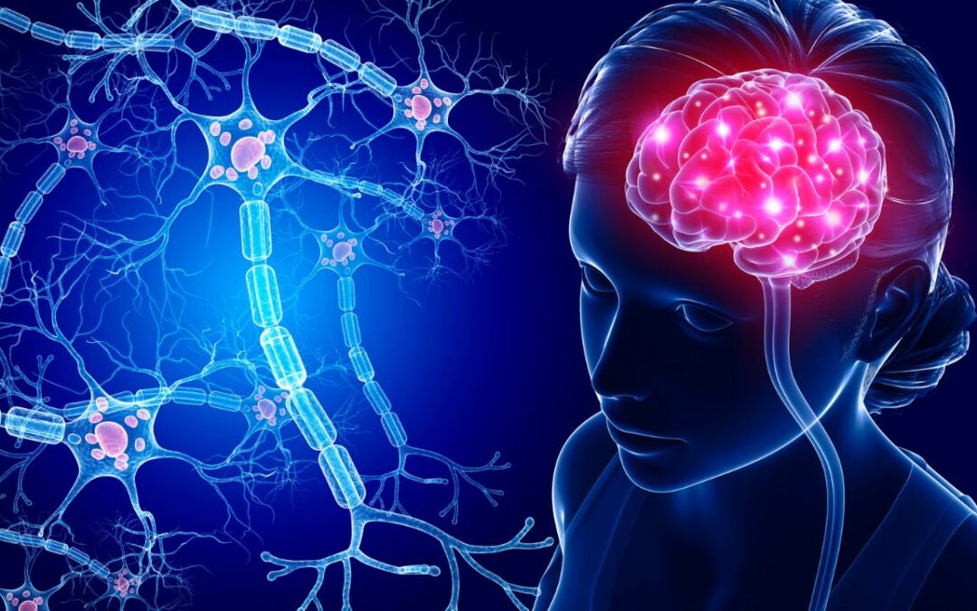 The Mysteries of the Human Brain | Crossword Puzzle in Context