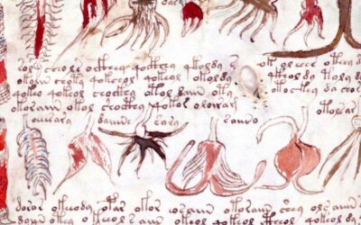 The Voynich Manuscript: A Cryptic Journey through the World’s Most Mysterious Codex