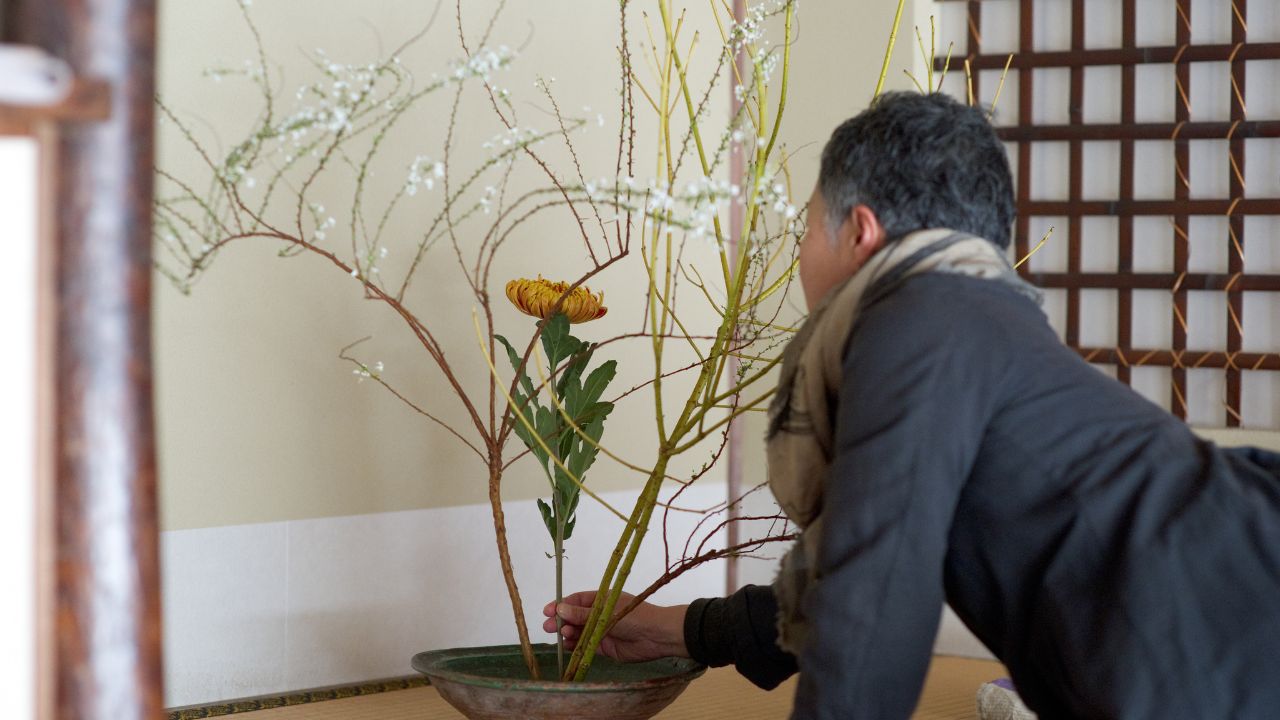 Cultural Insights Ikebana