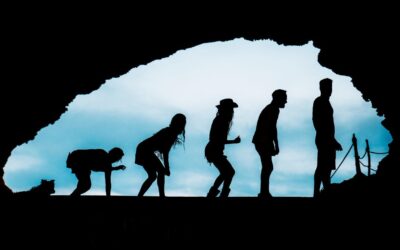 Unraveling the Intricacies of Evolution and Natural Selection: Answers to Your Most Pressing Questions