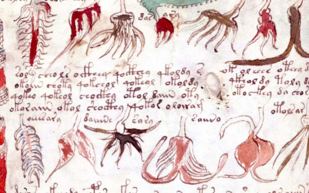 Decoding the Voynich Manuscript: The Unresolved Enigma of a Mysterious Tome