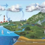 Planet Earth-The Water Cycle