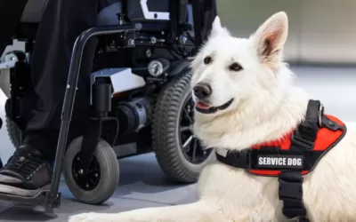 The Transformative Role of Service Animals for the Disabled