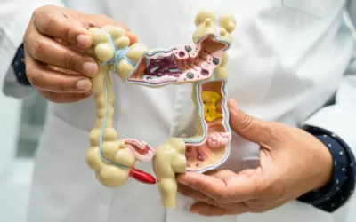 The Enigmatic Appendix: Unraveling the Mystery of the Body’s Silent Partner