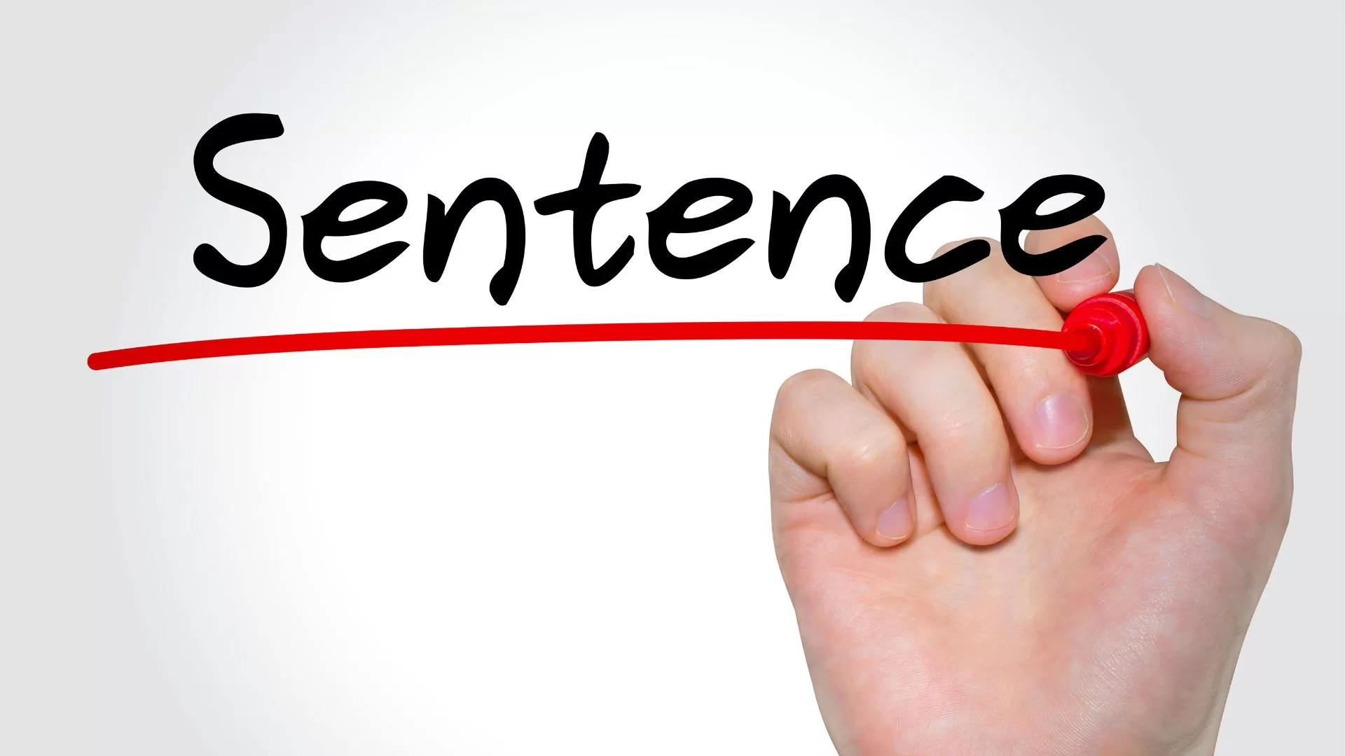 Focus on Writing_Varied Sentence Beginnings