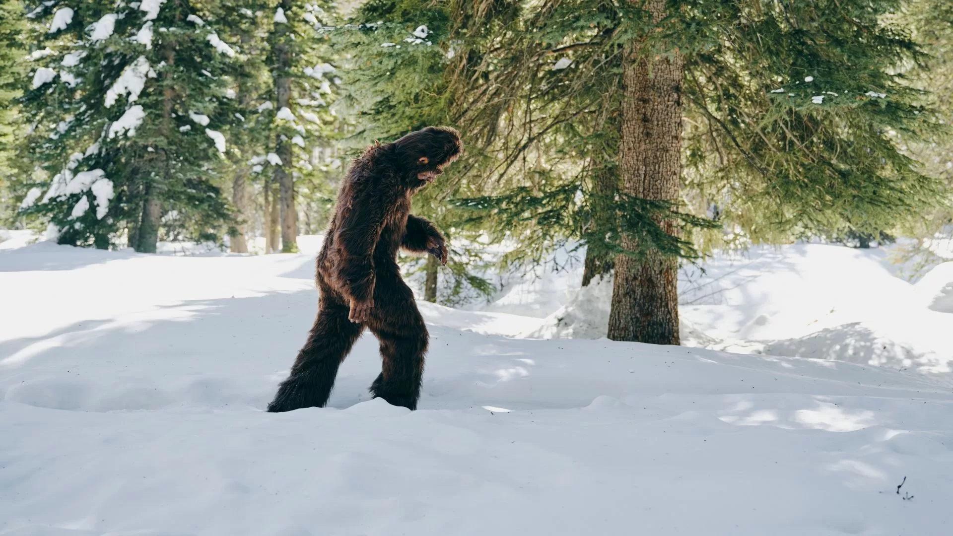 Bigfoot (Chasing Bigfoot: The Quest For Truth)