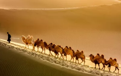 Unraveling the Silk Road’s Pivotal Influence in Global History and Commerce