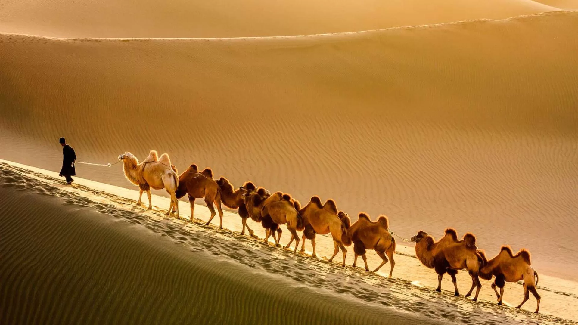 The Role of the Silk Road in Shaping World History and Trade