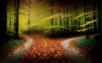 Beyond the Surface: Unraveling “The Road Not Taken” by Robert Frost