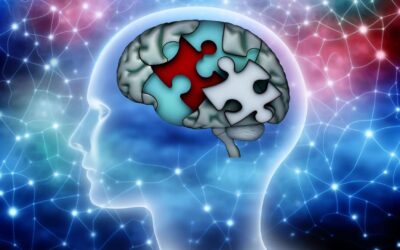 Your Brain Fills in the Gaps: How Perception Can Lead to Assumptions