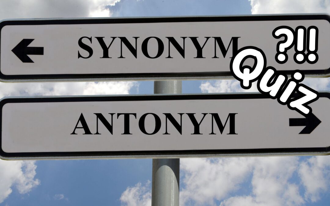 Synonyms and Antonyms Made Simple: Can You Choose the Perfect Word?