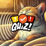 How Cat Purring Works Quiz