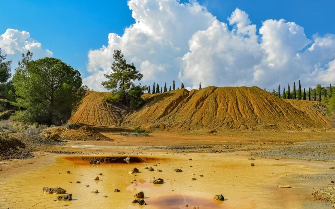 How Everyday Chemicals Have Long-Term Effects on Ecosystems