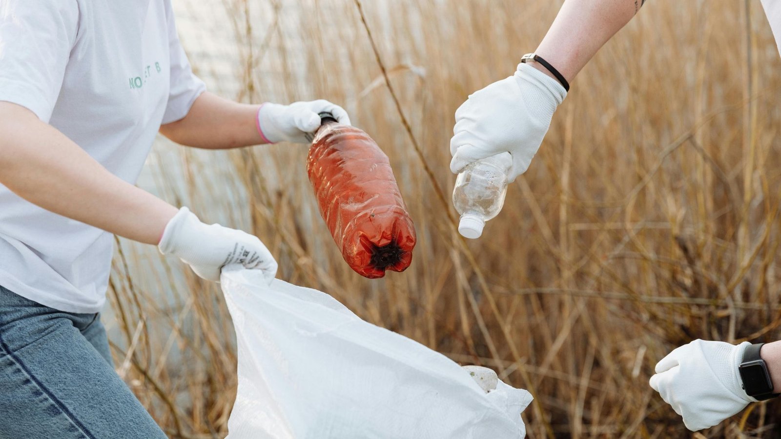 Are We Failing the Future