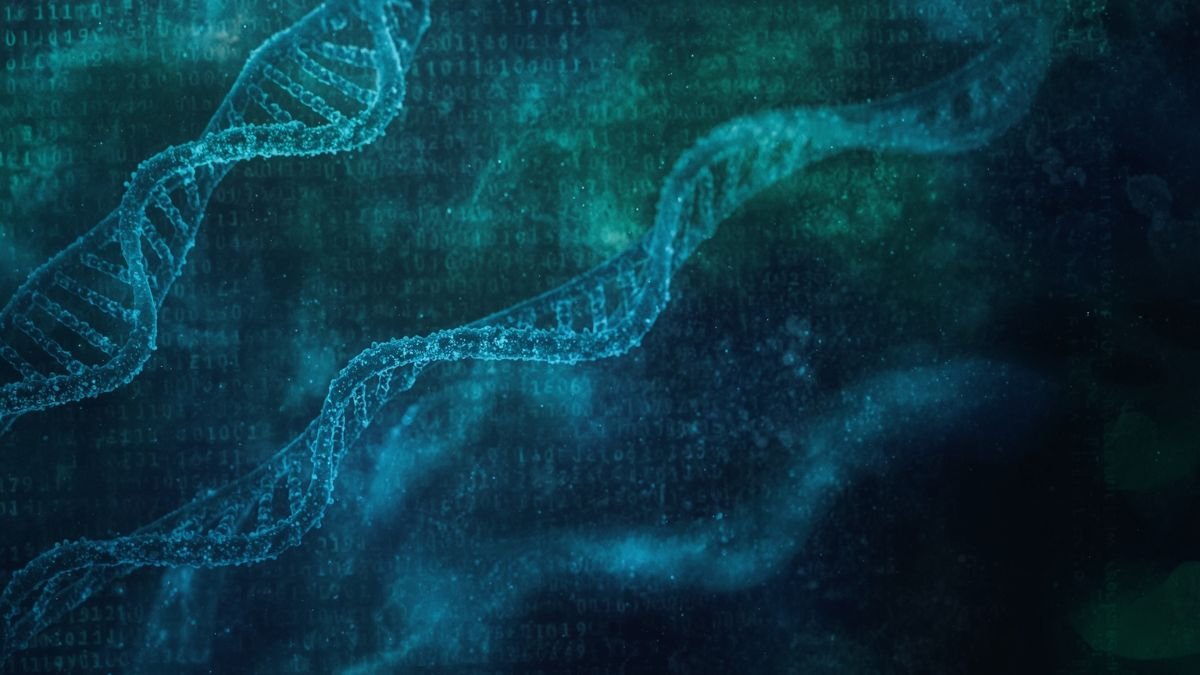 DNA and Genetics_ The Blueprint of Life Quiz