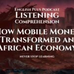 How Mobile Money Transformed an African Economy