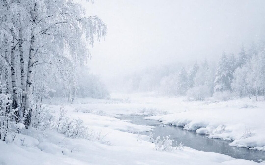 The White Silence of January | The Poet