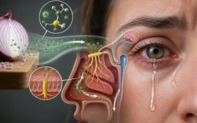 Why Do Onions Make You Cry? The Chemistry of Your Kitchen’s Most Hostile Vegetable | Close Reading